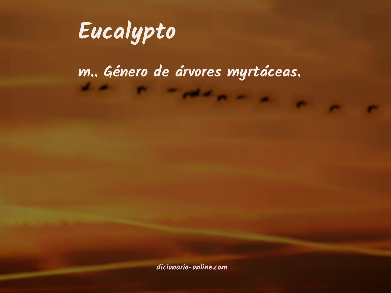 Significado de eucalypto