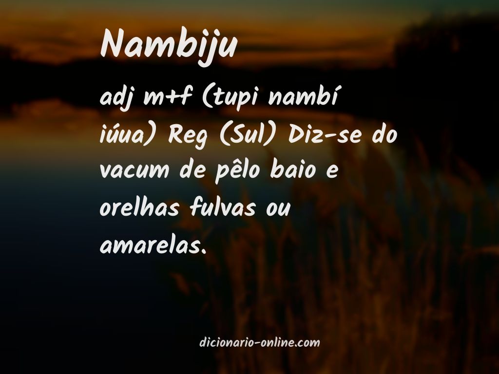 Significado de nambiju