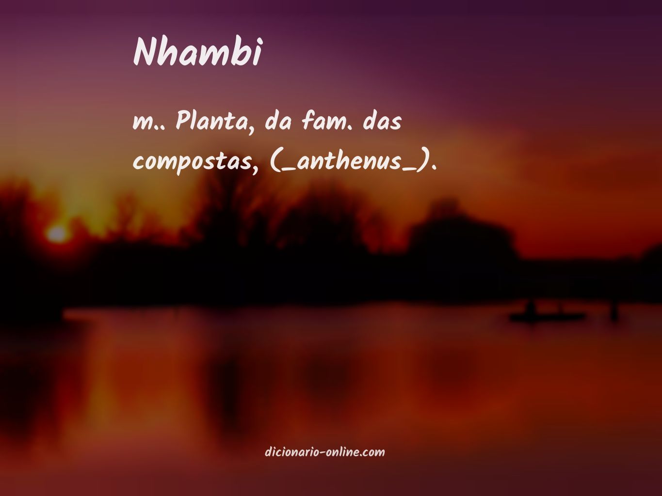 Significado de nhambi