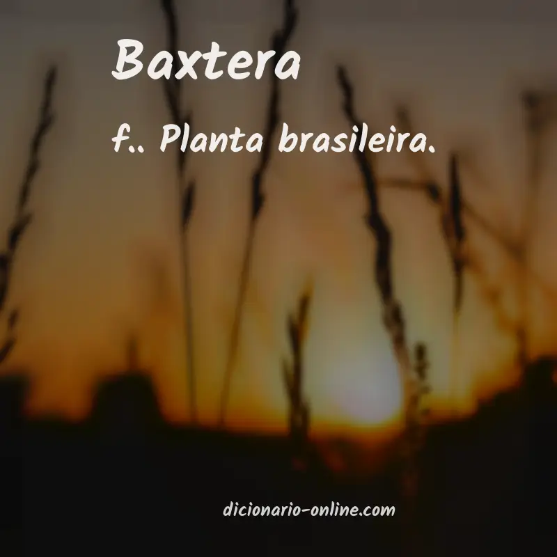 Significado de baxtera