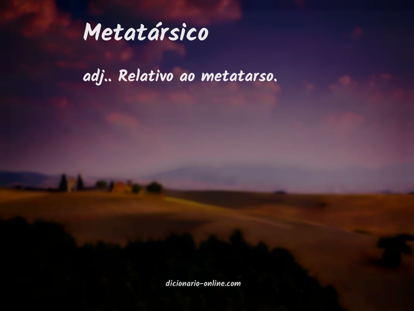 Significado de metatársico