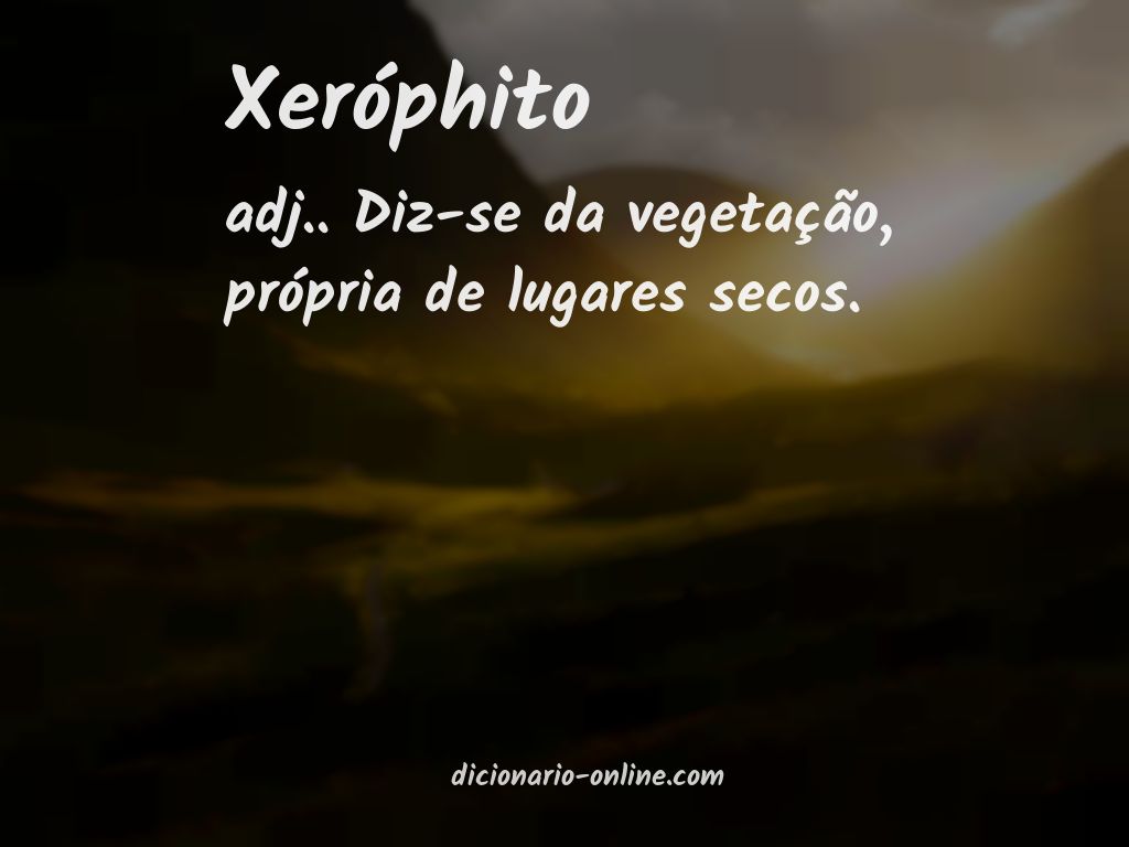 Significado de xeróphito