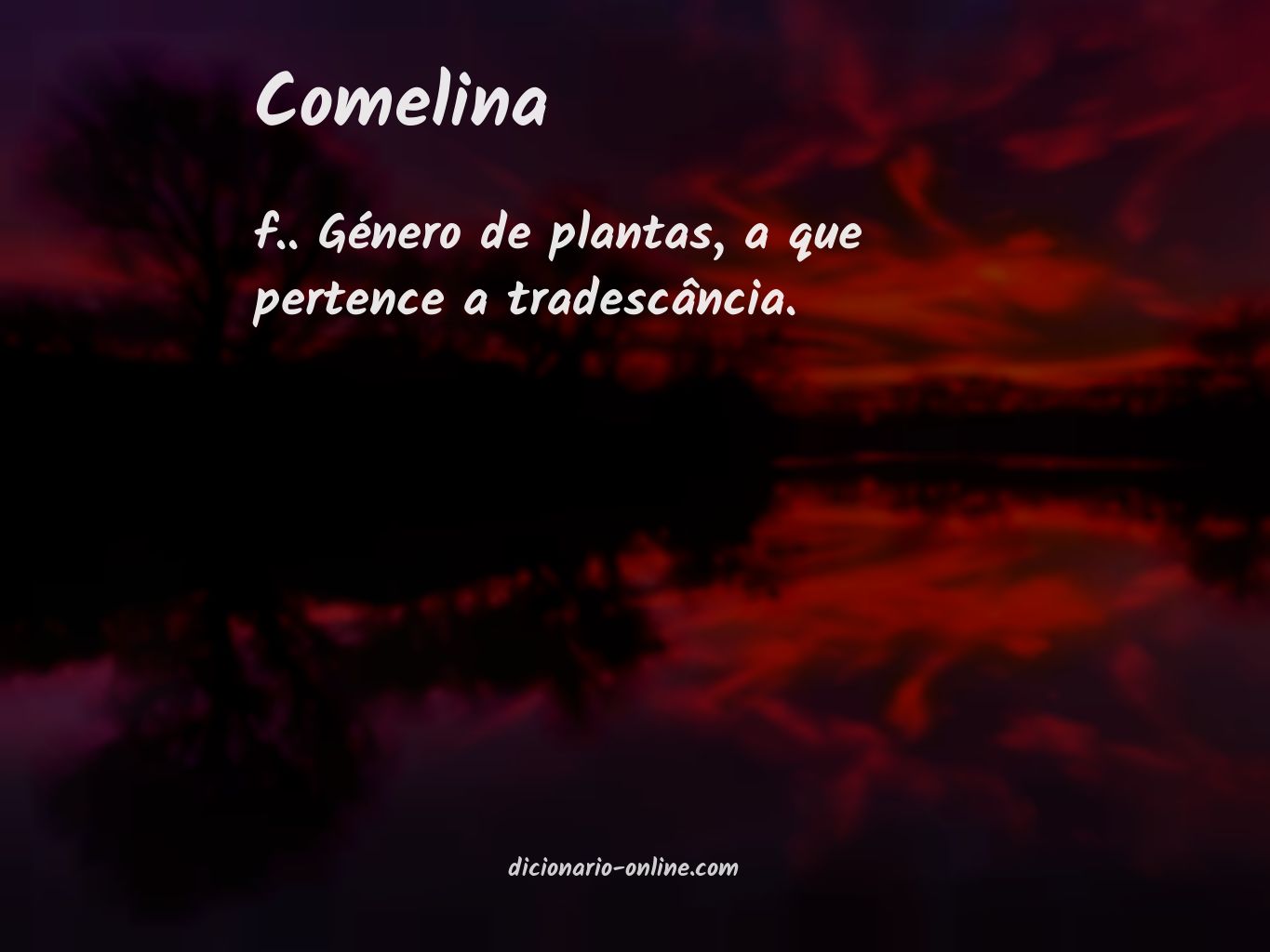 Significado de comelina