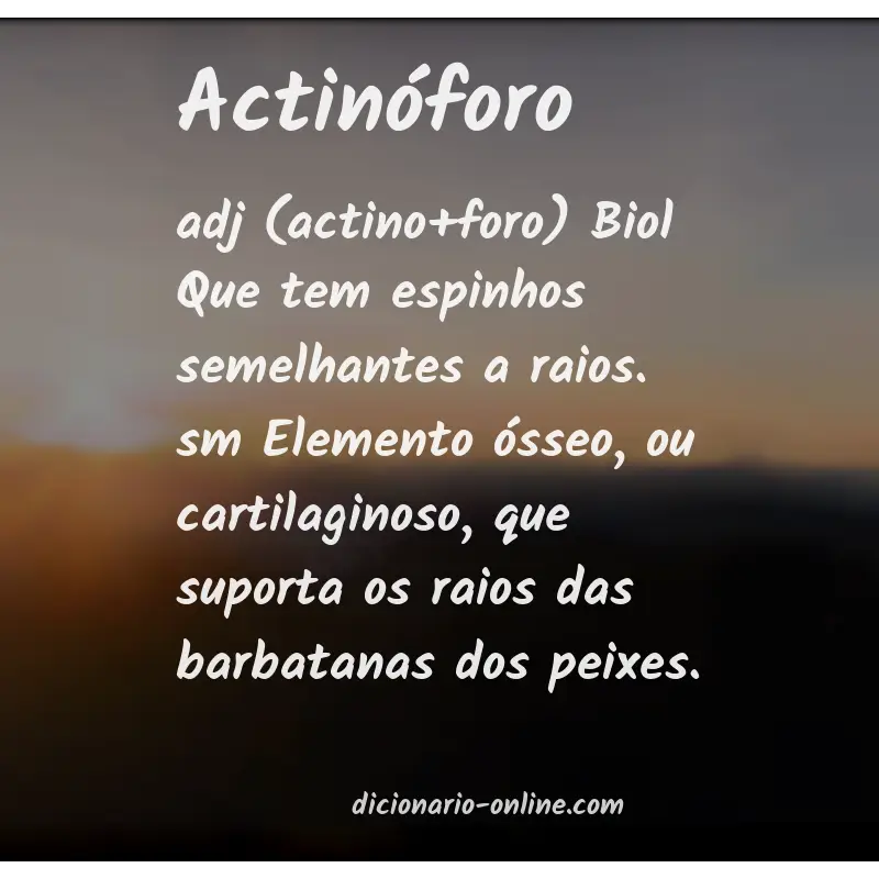 Significado de actinóforo