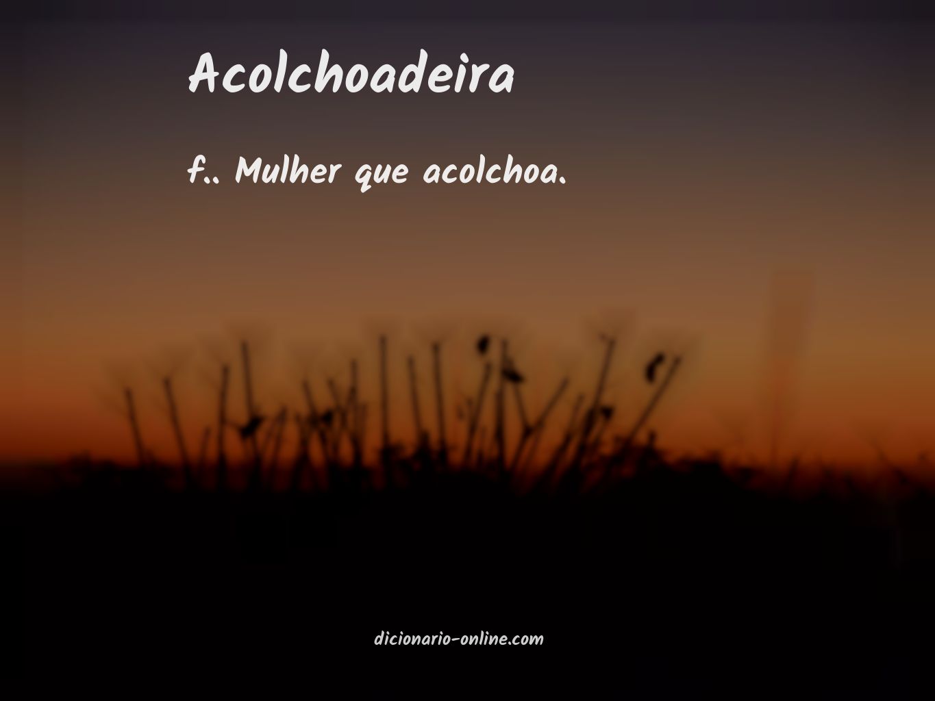 Significado de acolchoadeira