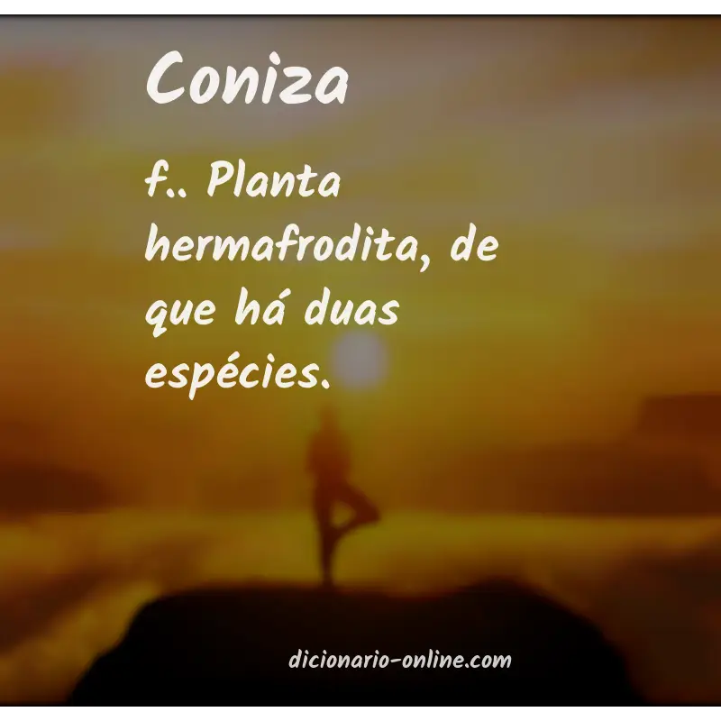 Significado de coniza
