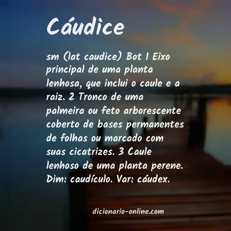 Significado de cáudice