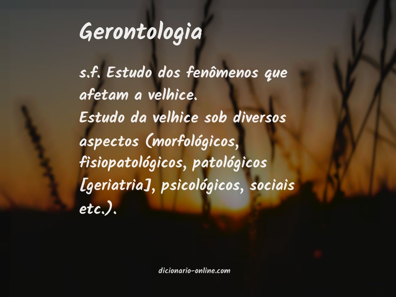 Significado de gerontologia