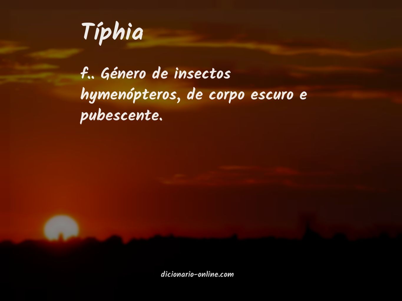 Significado de típhia