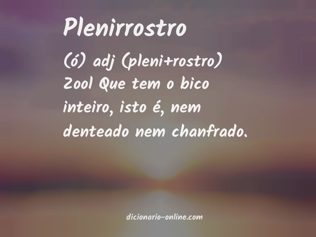 Significado de plenirrostro