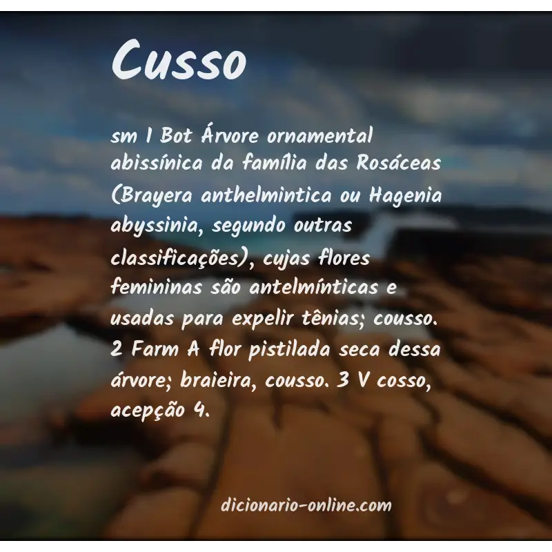 Significado de cusso