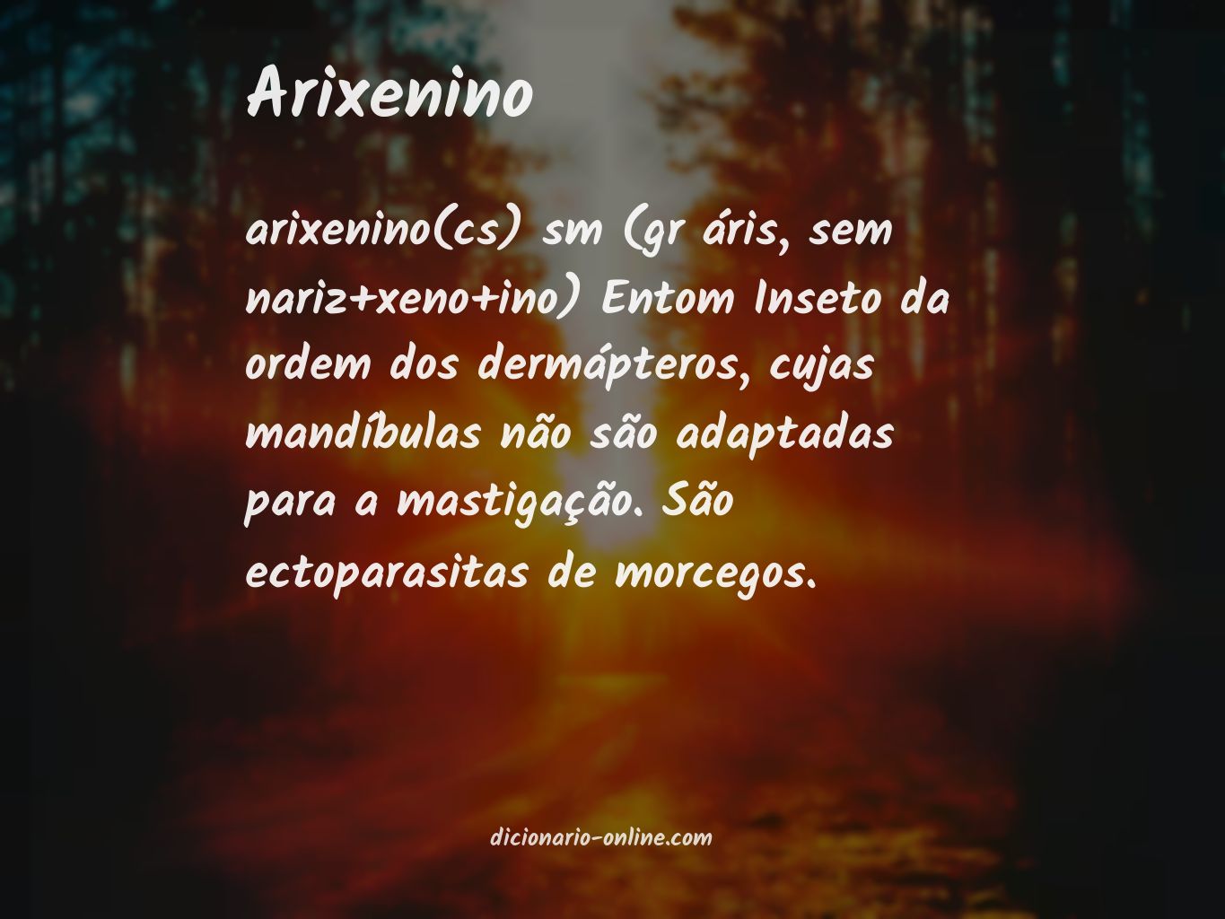 Significado de arixenino