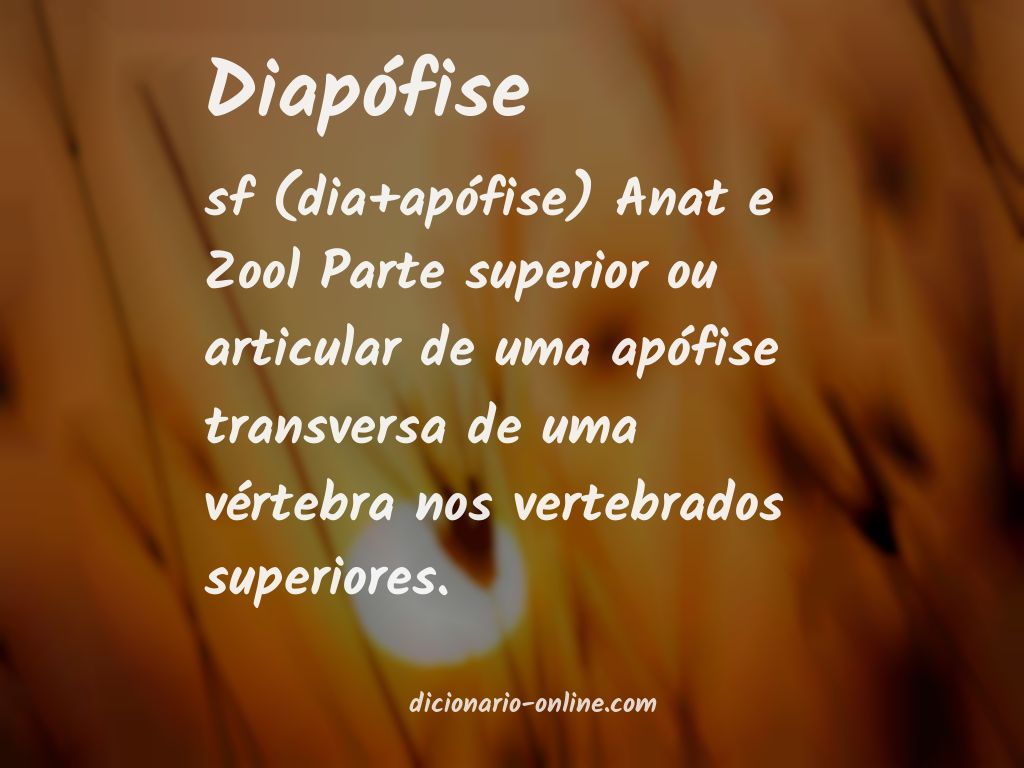 Significado de diapófise