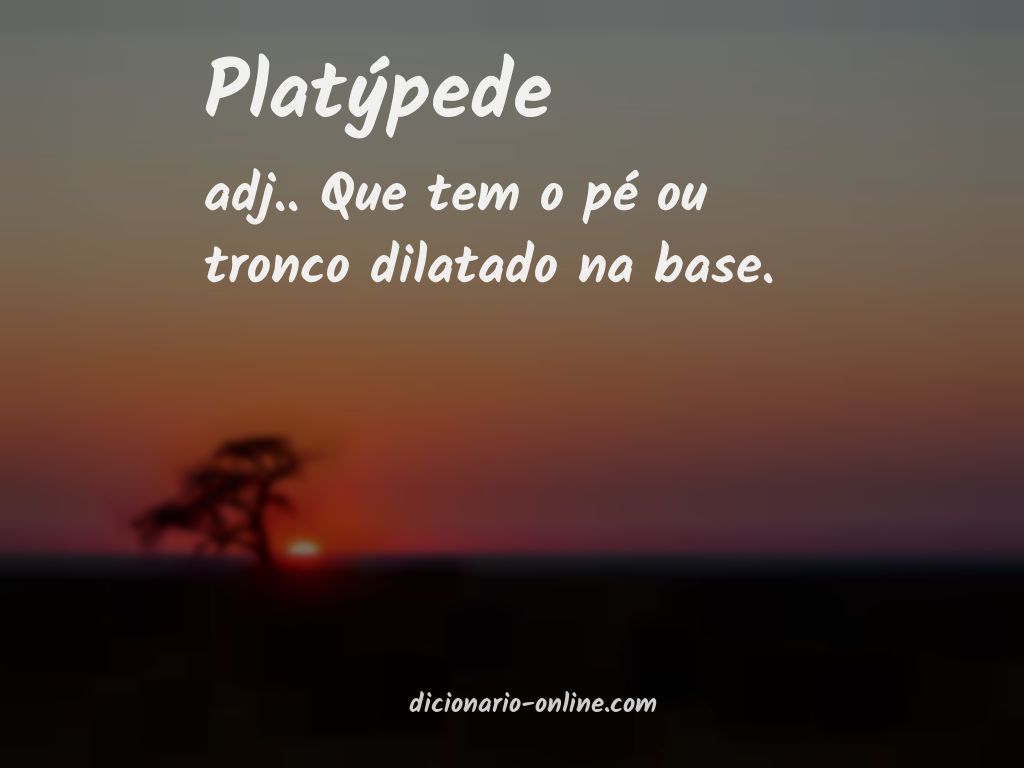 Significado de platýpede