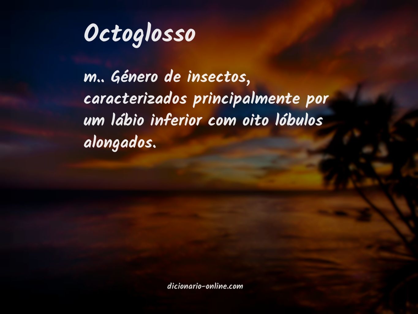 Significado de octoglosso