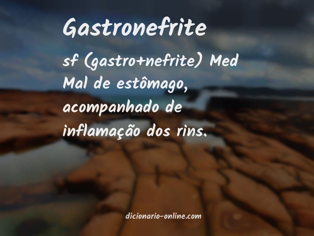 Significado de gastronefrite