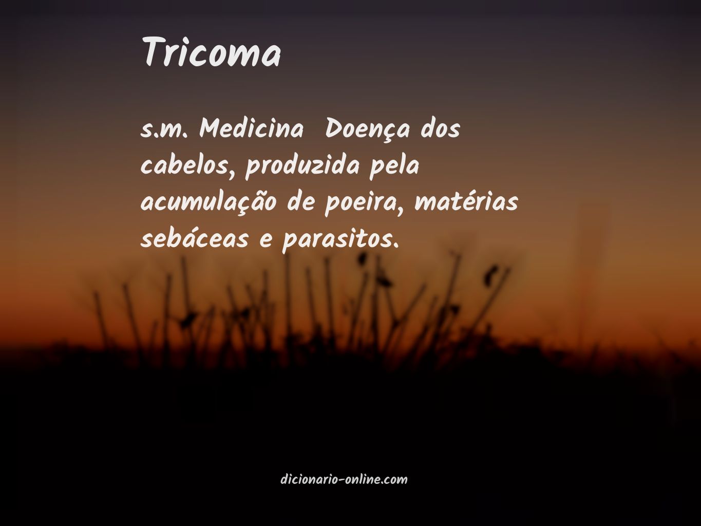 Significado de tricoma