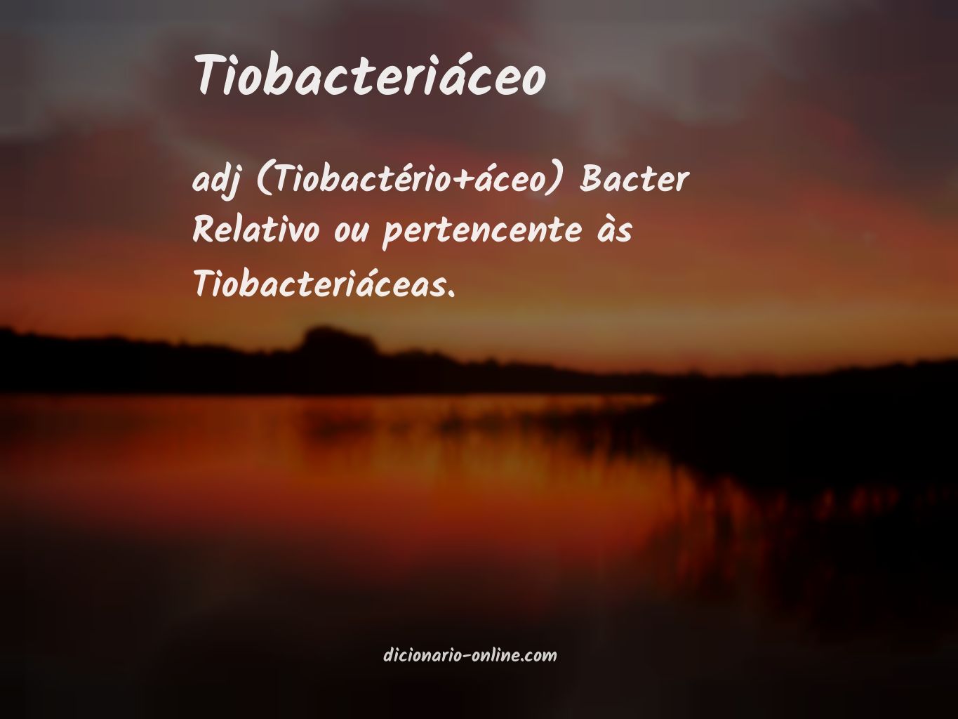 Significado de tiobacteriáceo
