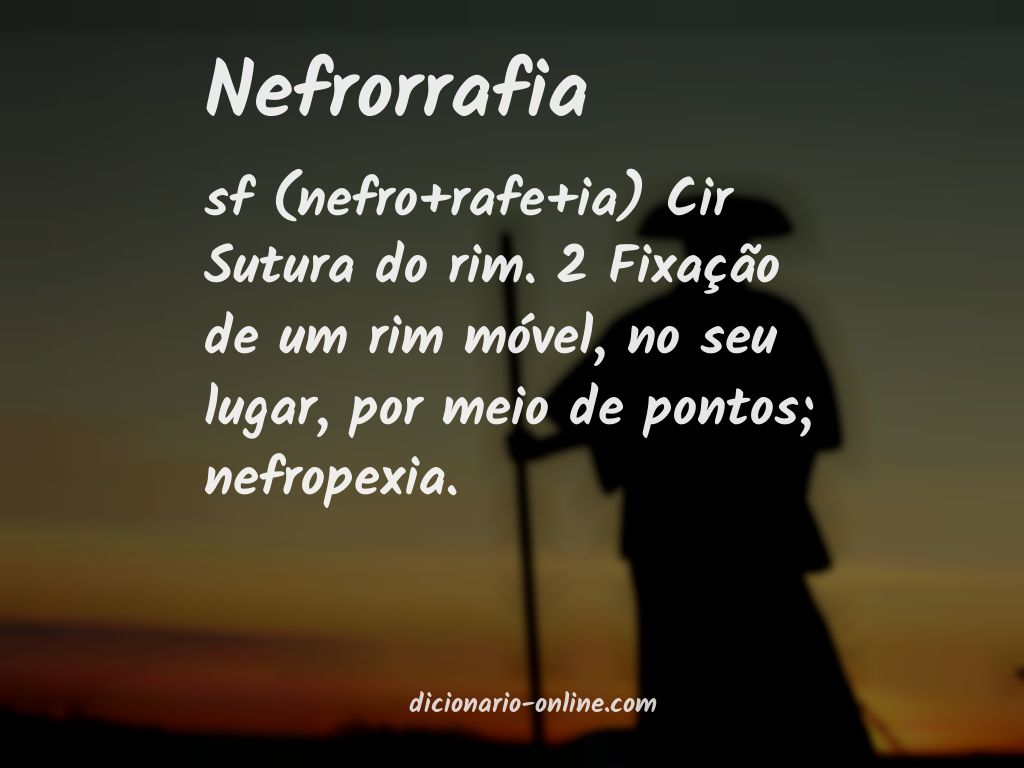 Significado de nefrorrafia