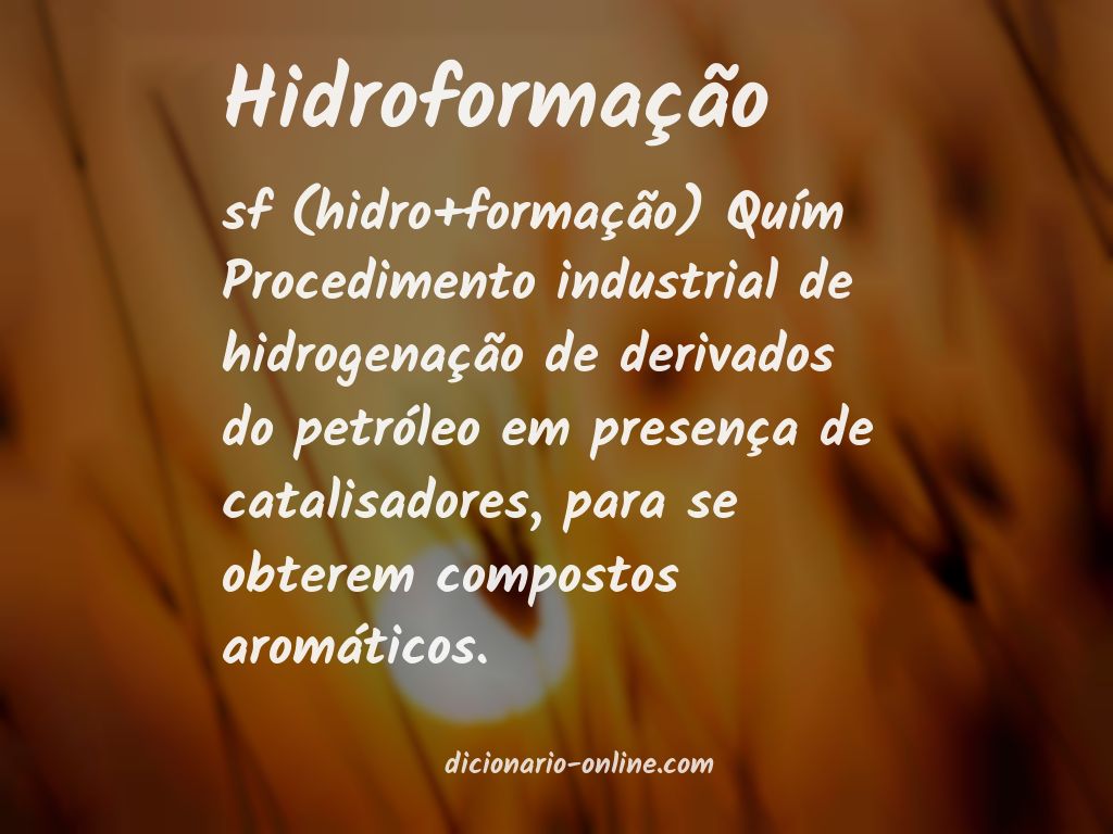 Significado de hidroformação