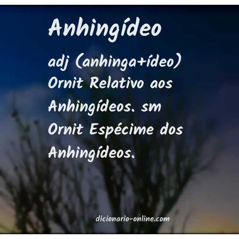 Significado de anhingídeo