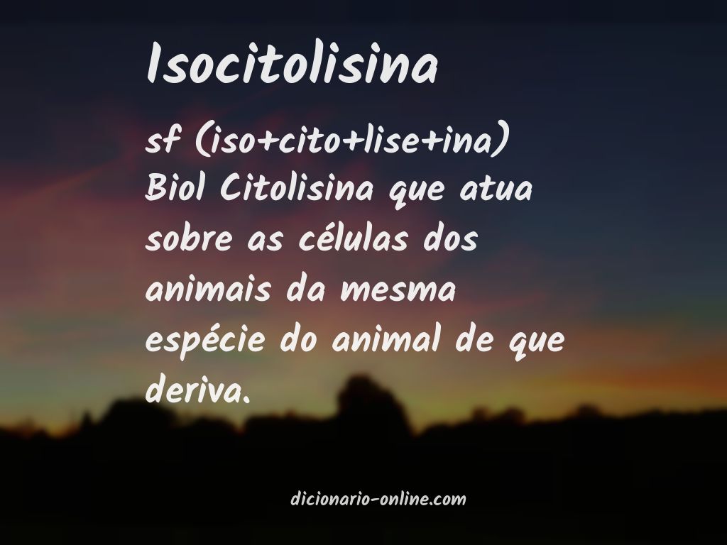 Significado de isocitolisina