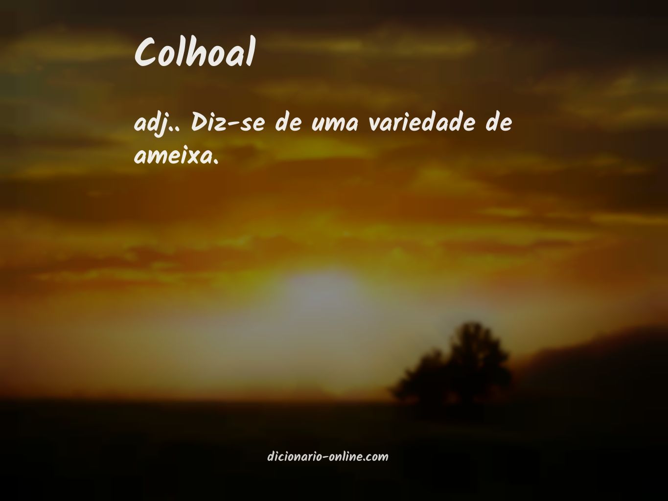 Significado de colhoal