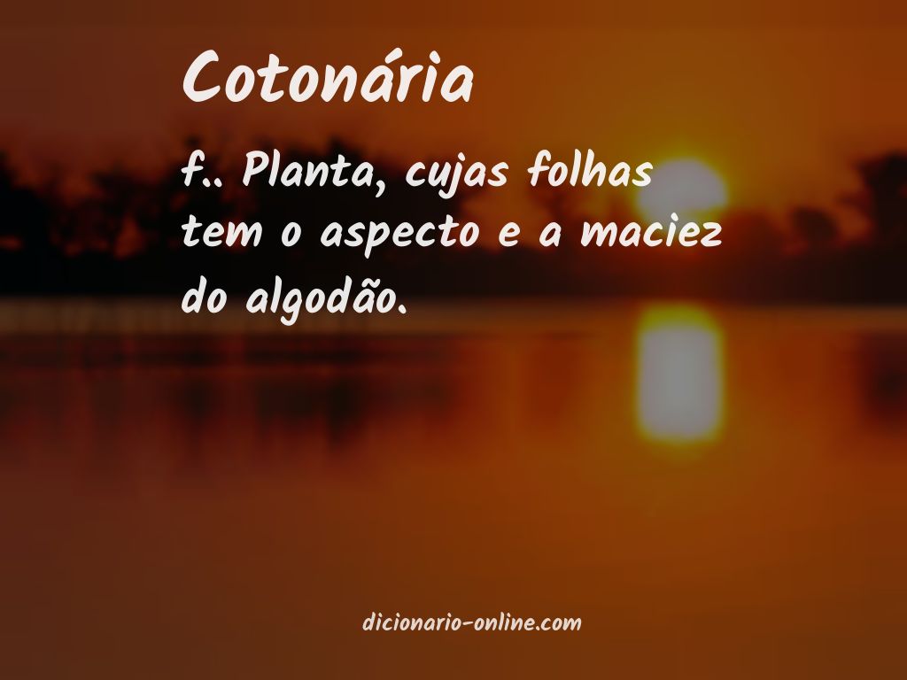 Significado de cotonária