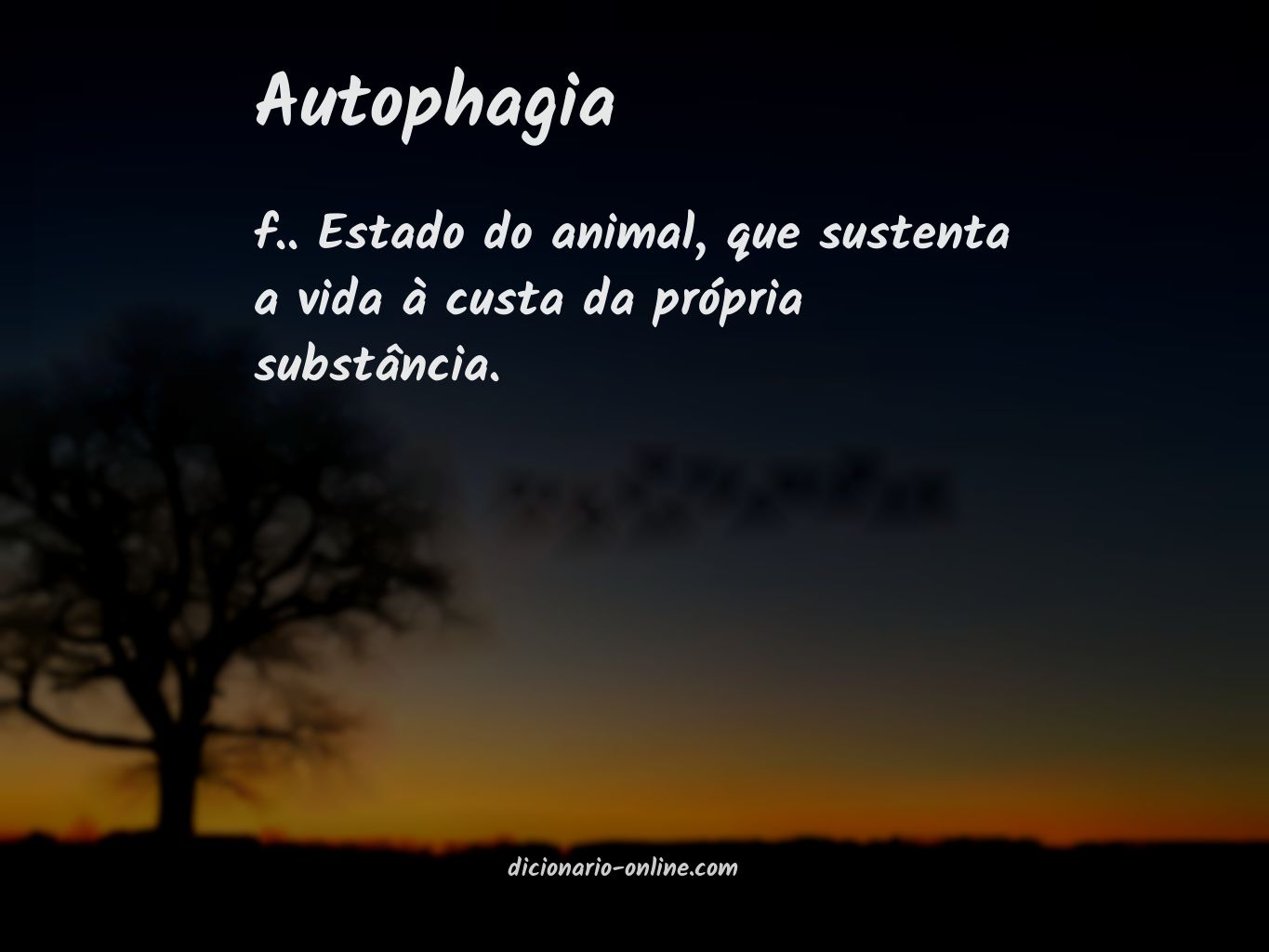 Significado de autophagia