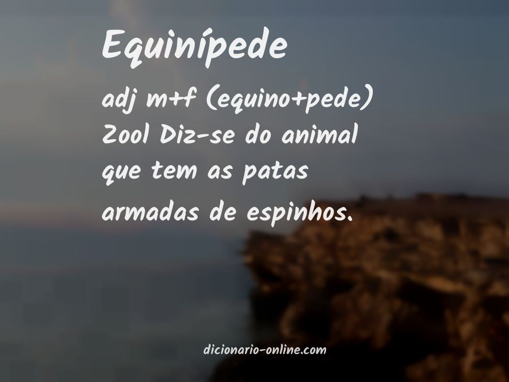 Significado de equinípede