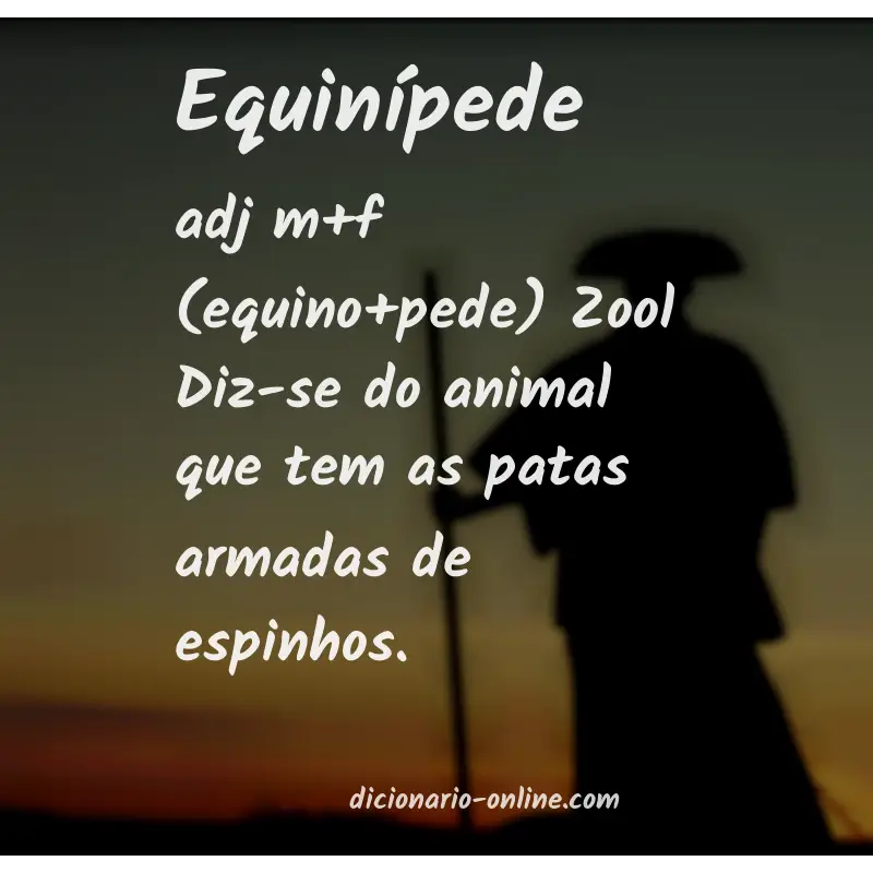 Significado de equinípede