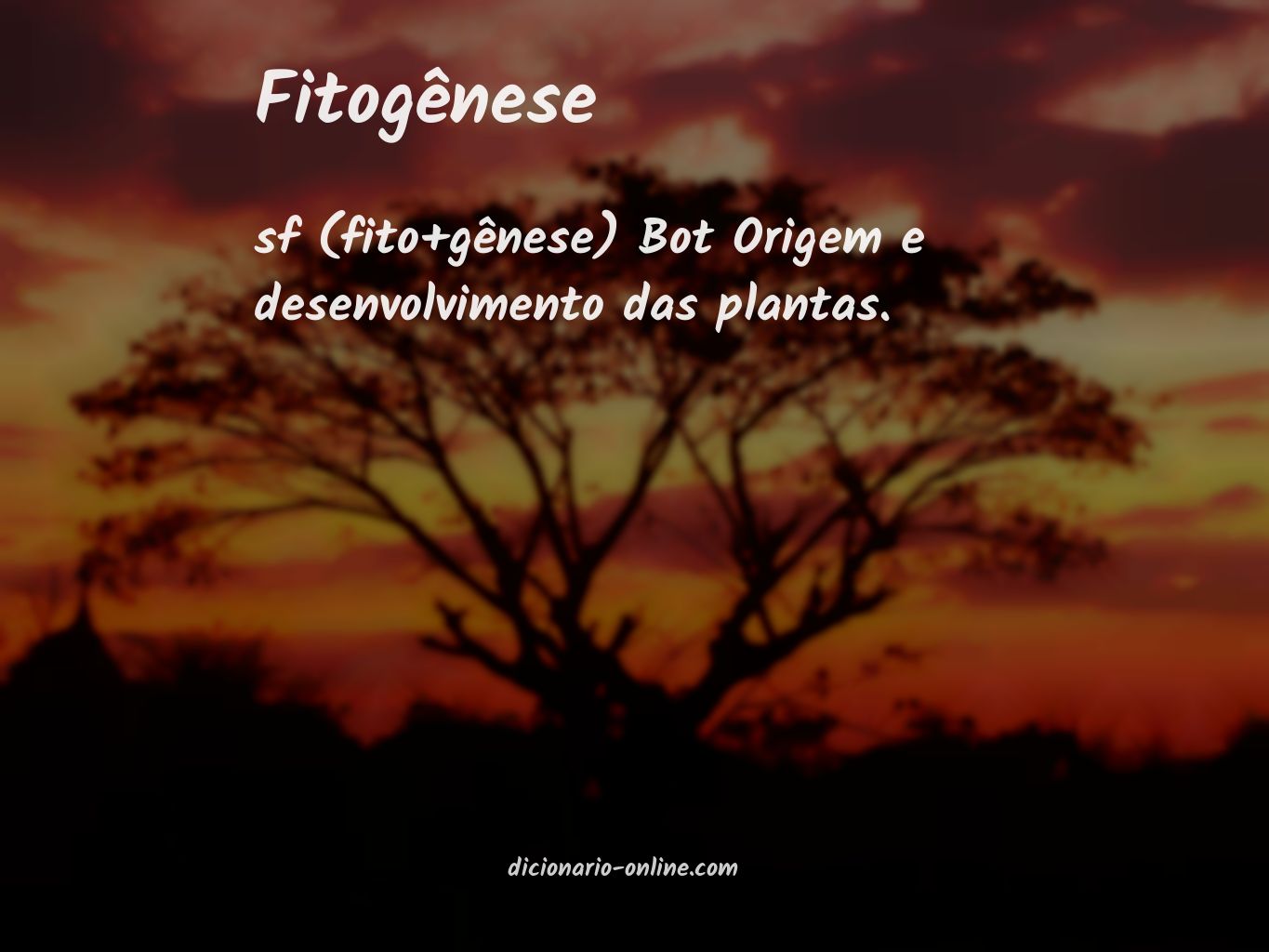 Significado de fitogênese