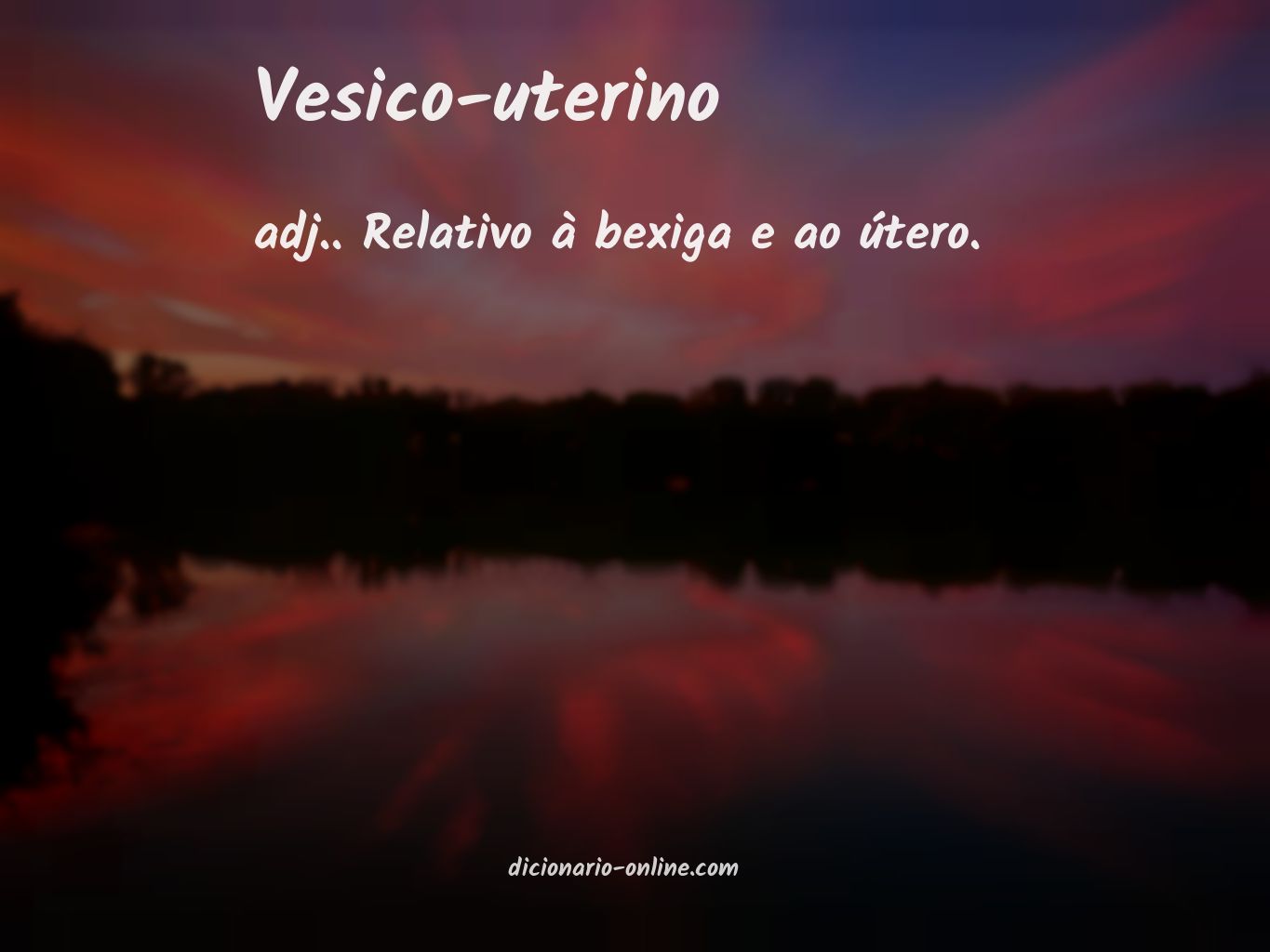 Significado de vesico-uterino