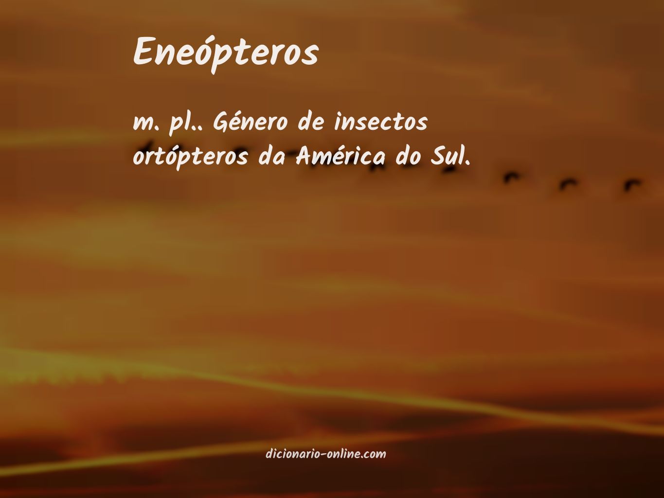 Significado de eneópteros