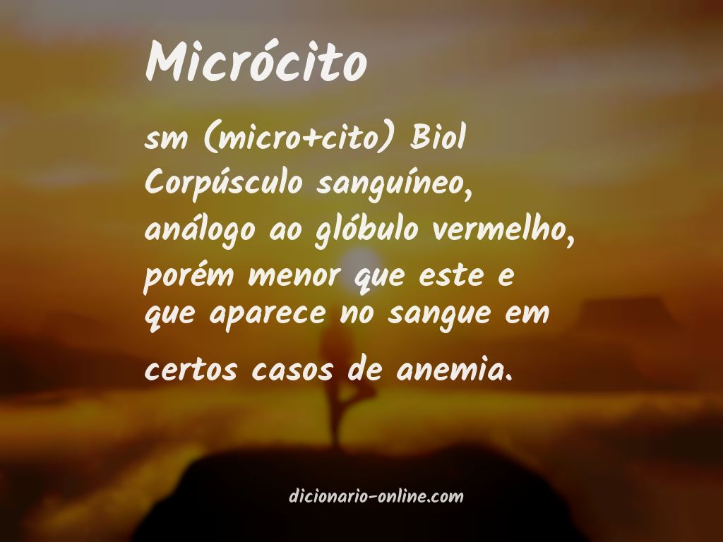 Significado de micrócito