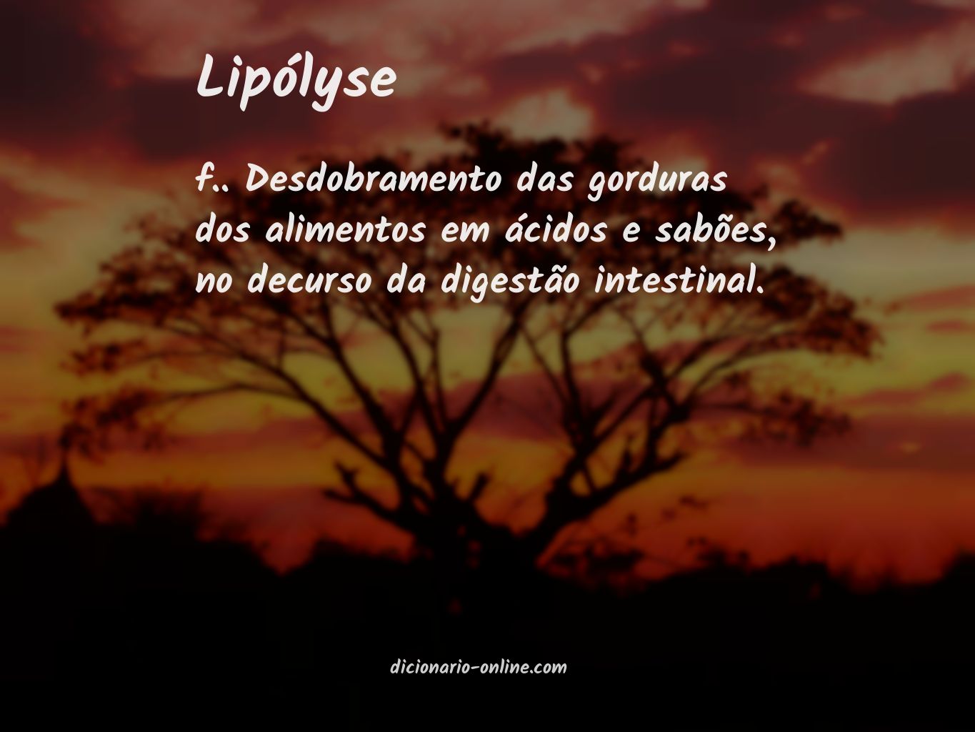 Significado de lipólyse