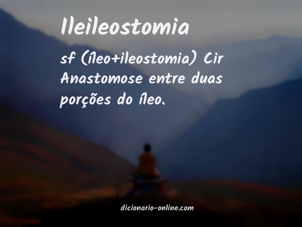 Significado de ileileostomia