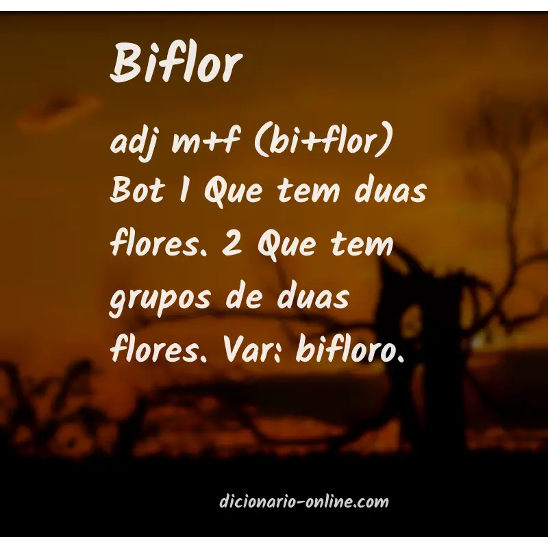 Significado de biflor