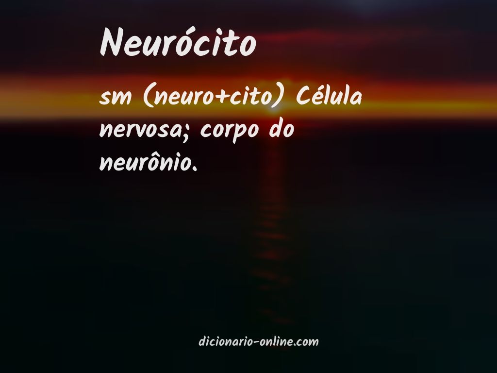 Significado de neurócito