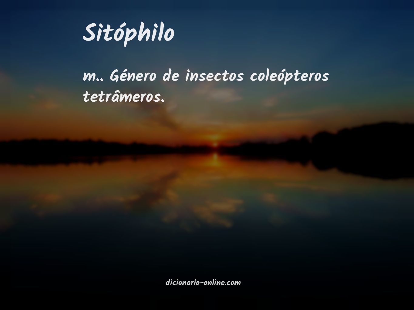 Significado de sitóphilo