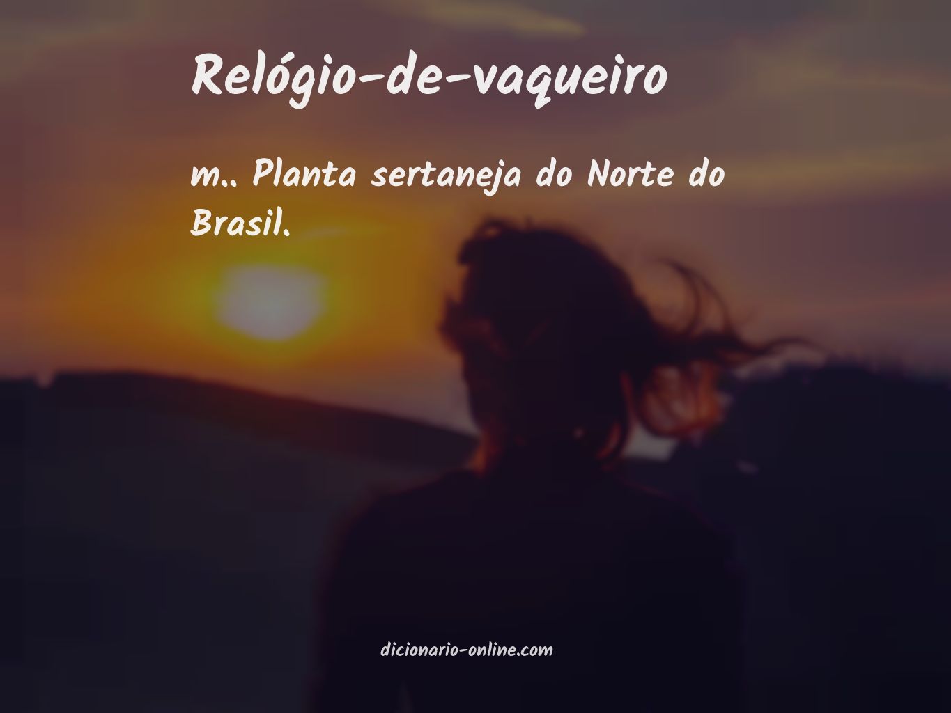 Significado de relógio-de-vaqueiro