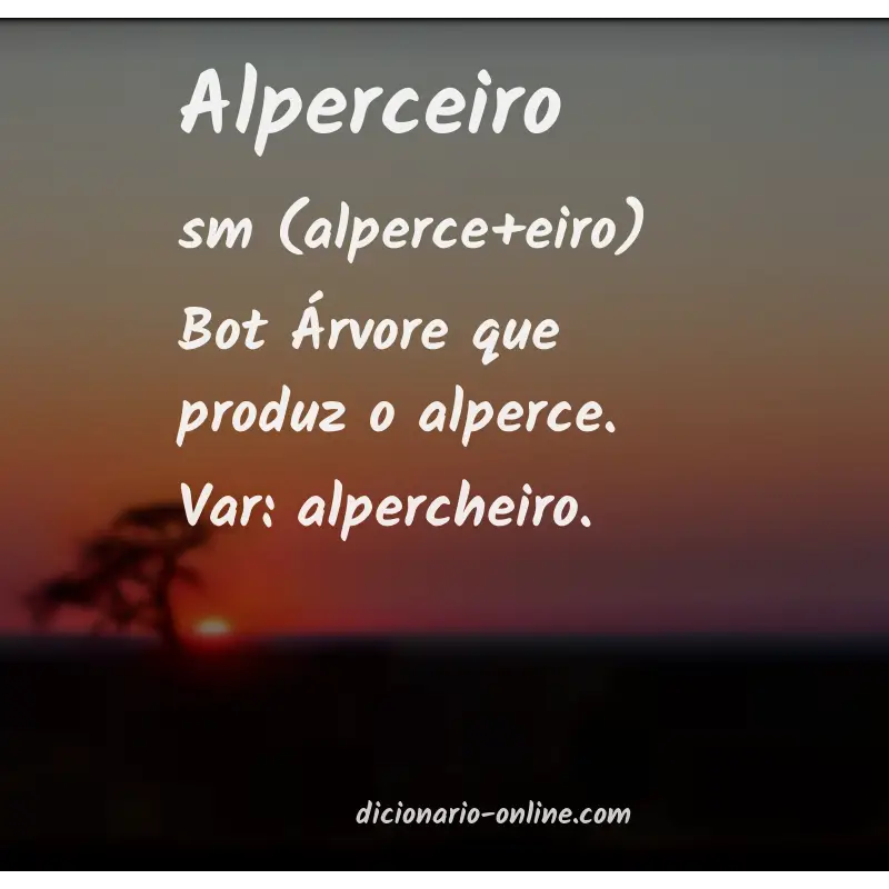 Significado de alperceiro
