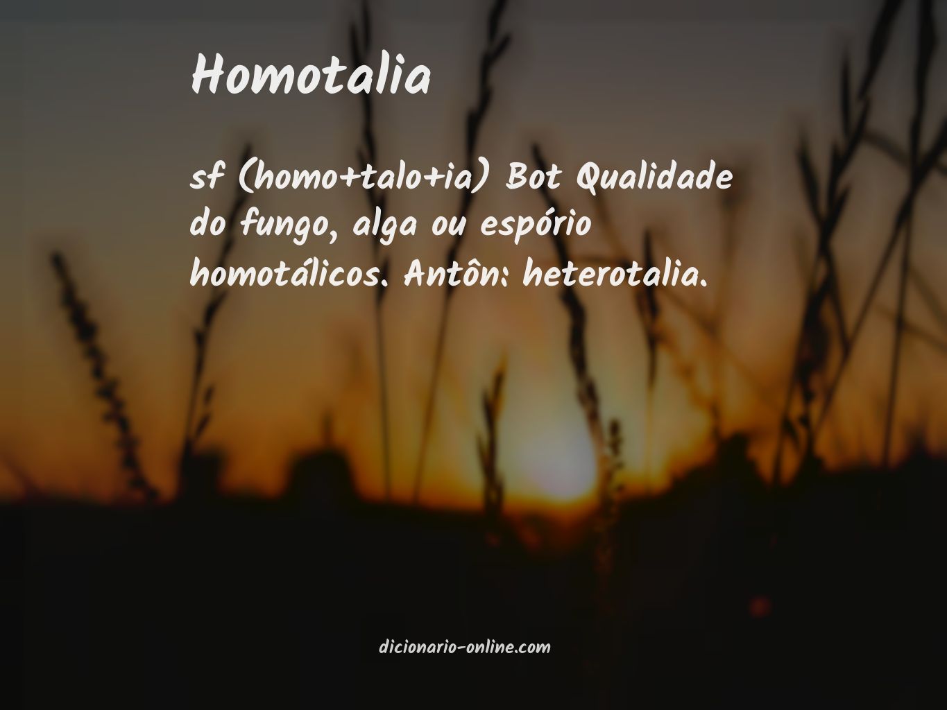 Significado de homotalia