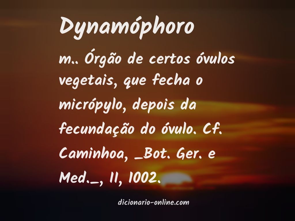 Significado de dynamóphoro