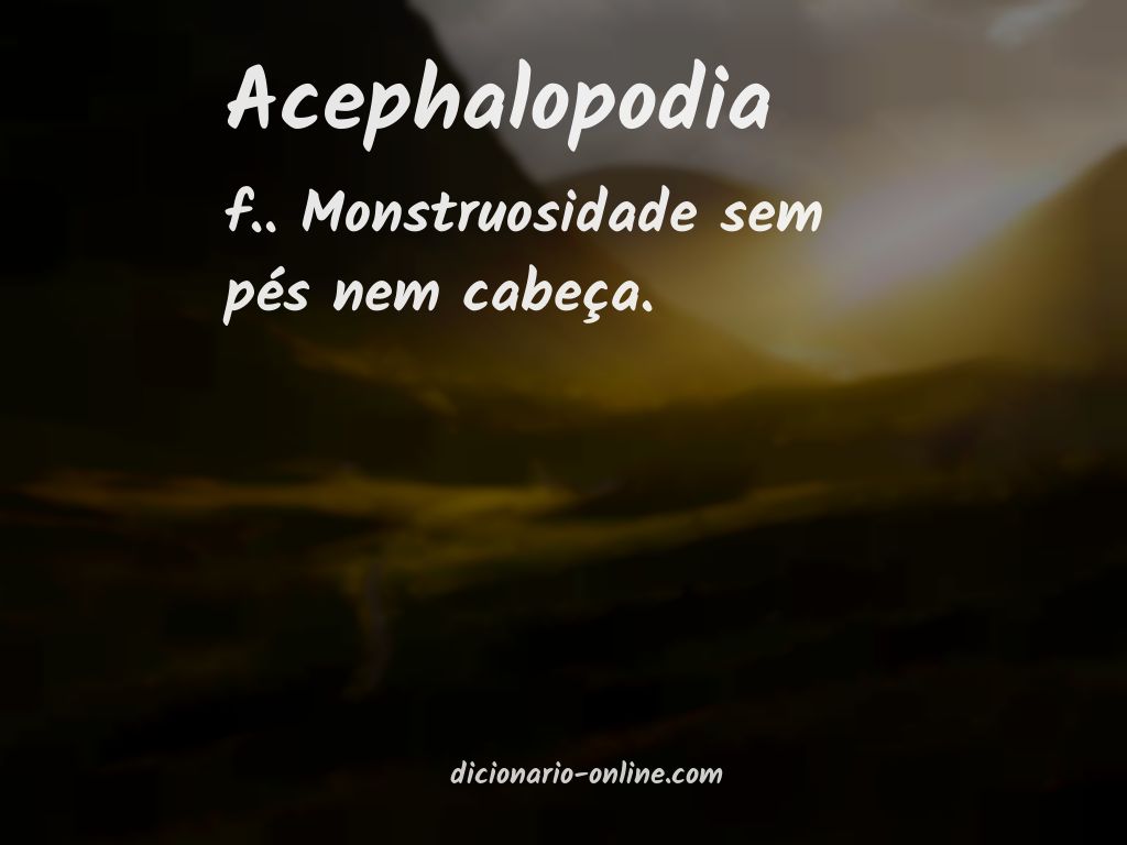 Significado de acephalopodia