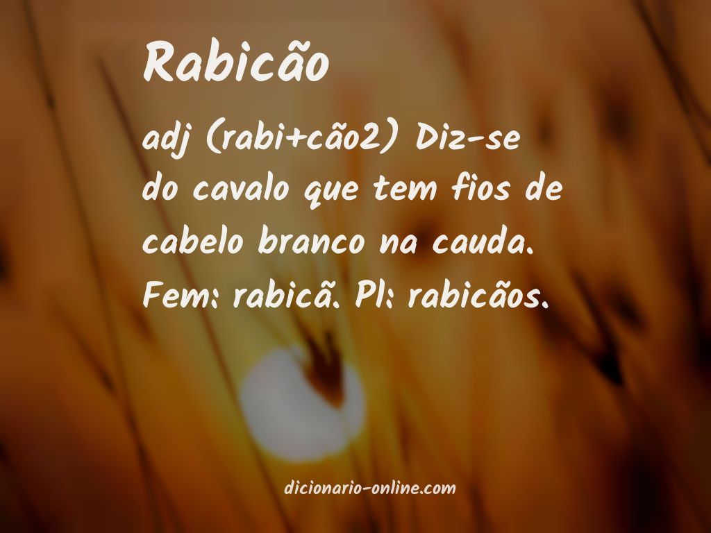 Significado de rabicão