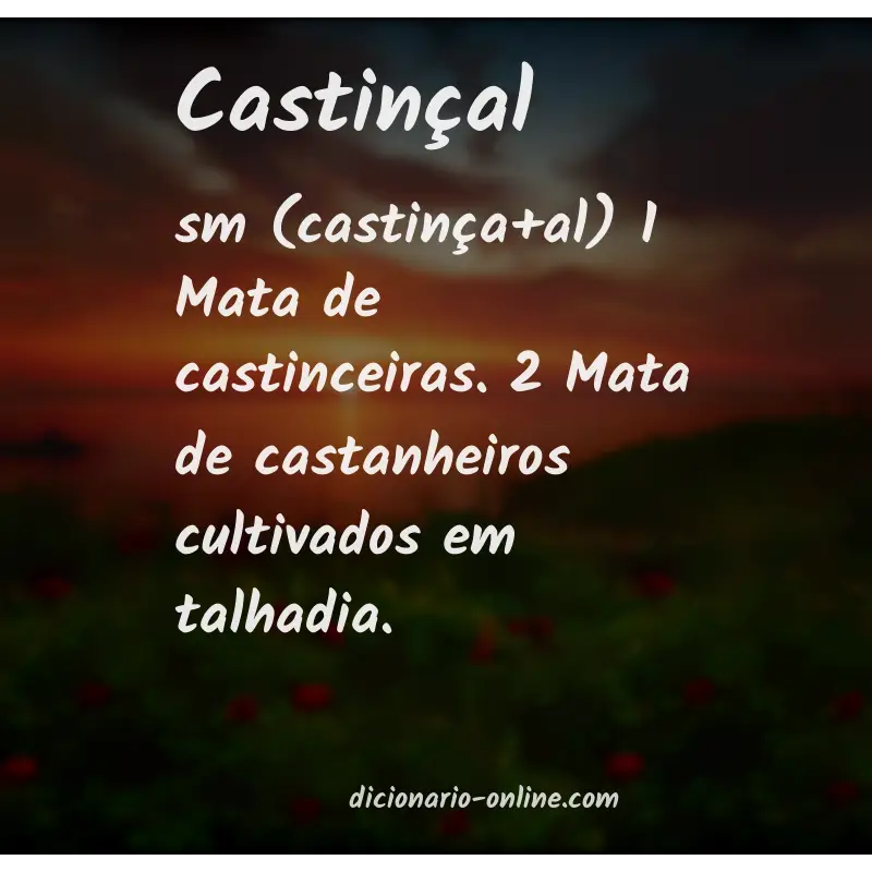 Significado de castinçal