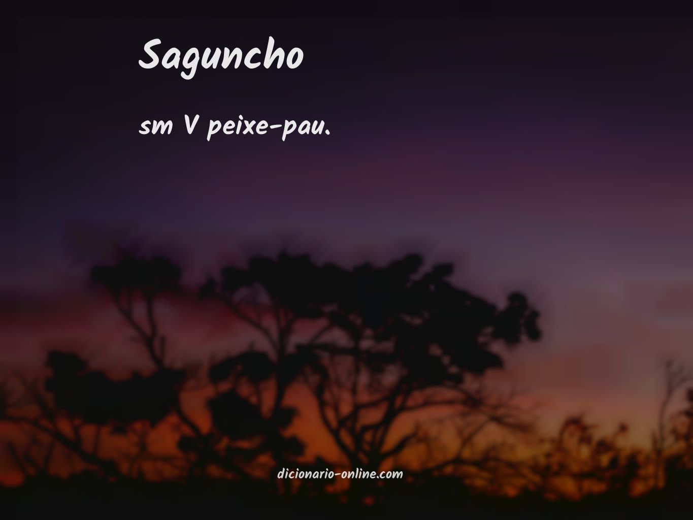 Significado de saguncho