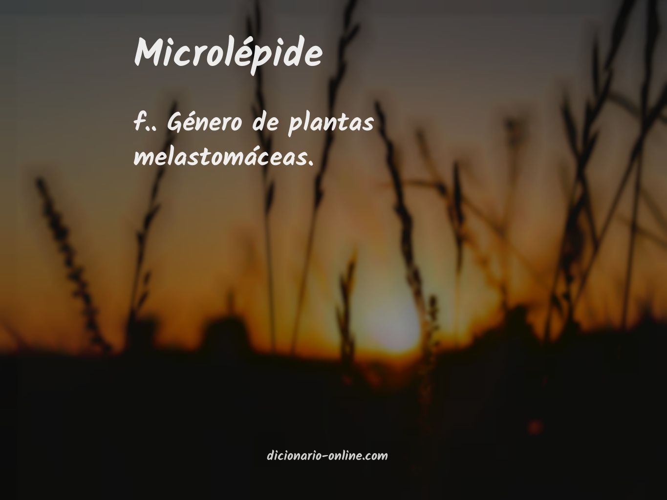 Significado de microlépide