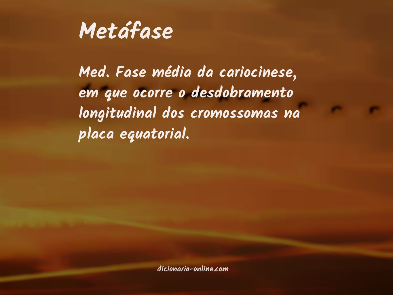 Significado de metáfase